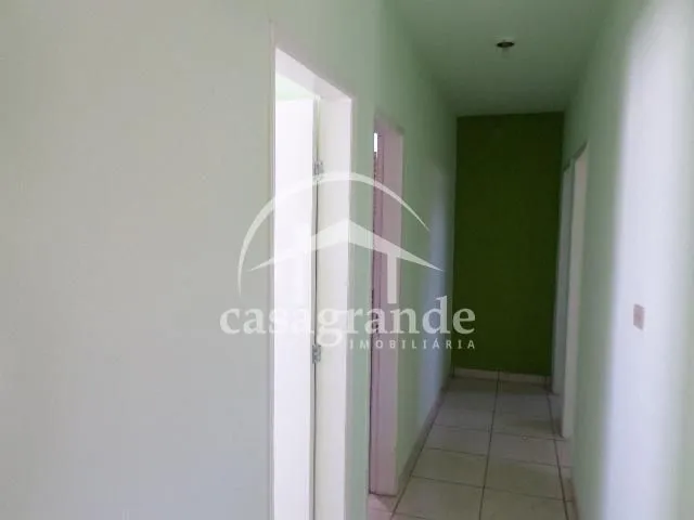Imagem 7
