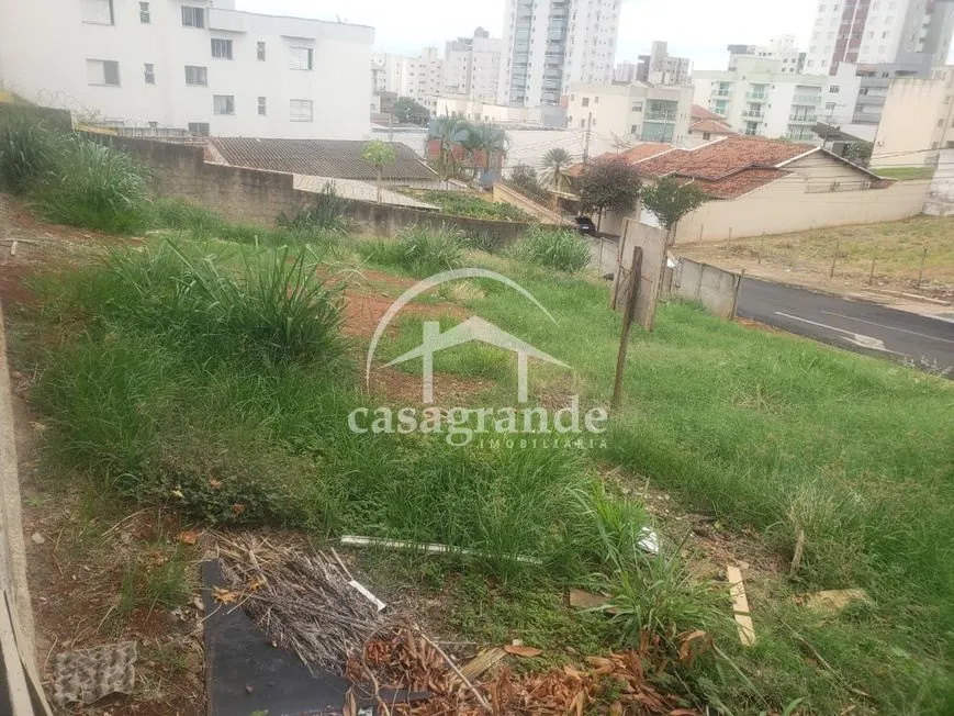 Imagem 11