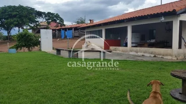 Imagem 18