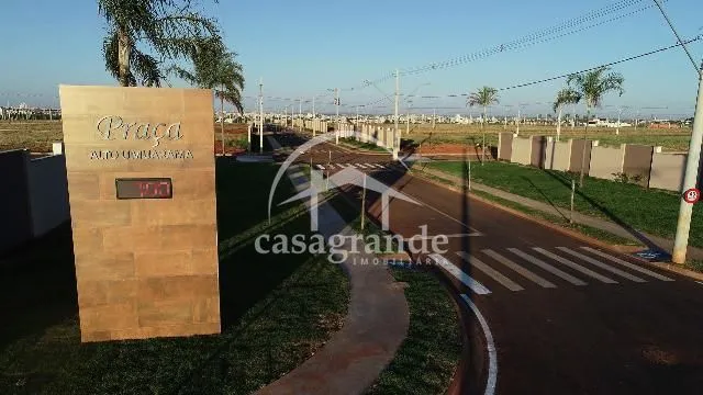 Imagem 5