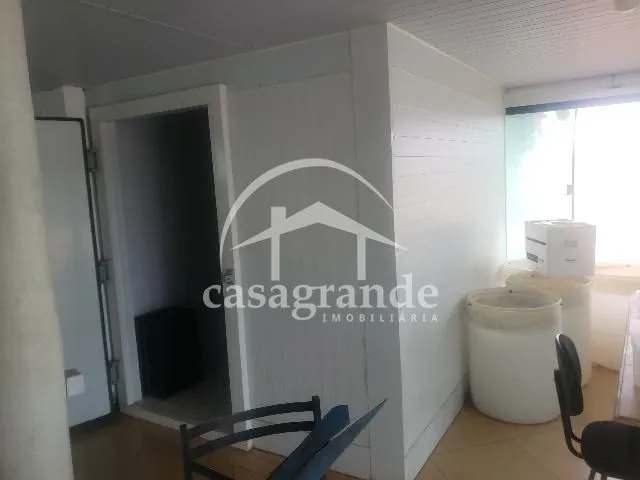 Imagem 11