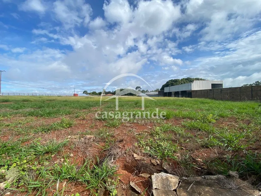 Imagem 7