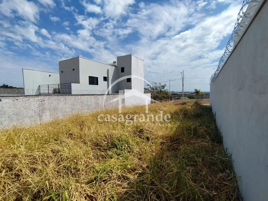 Imagem 4
