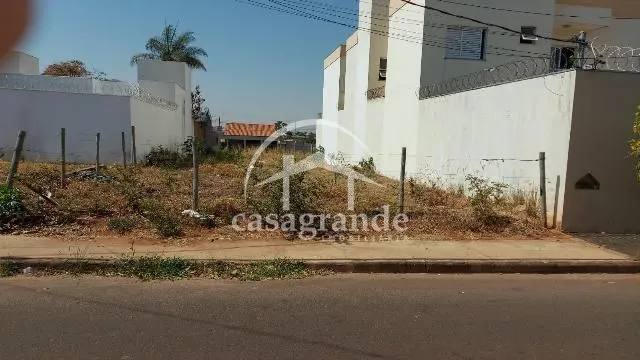 Imagem 8