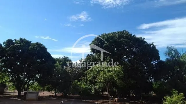 Imagem 22