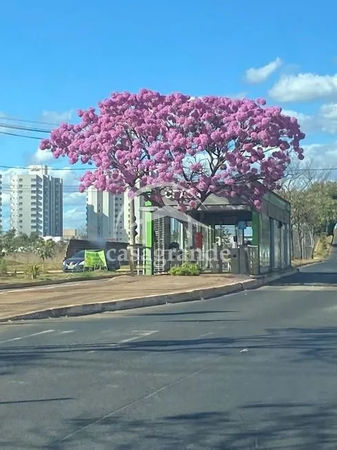 Imagem 6