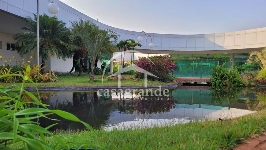 Imagem 8