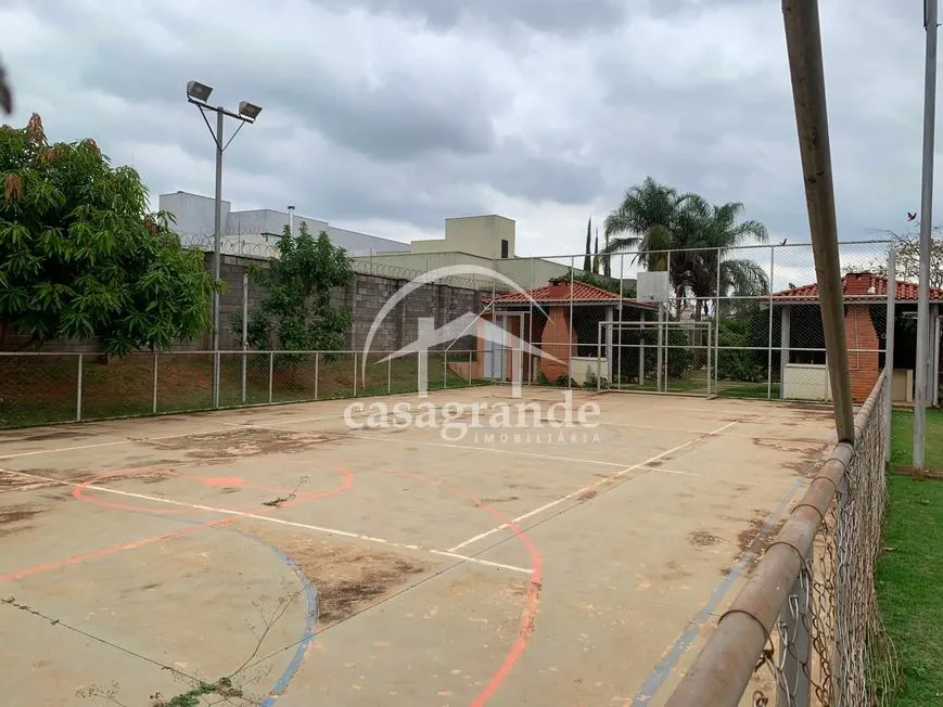 Imagem 21