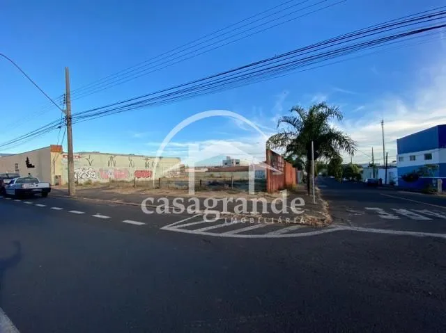 Imagem 3