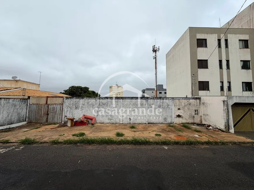 Imagem 3