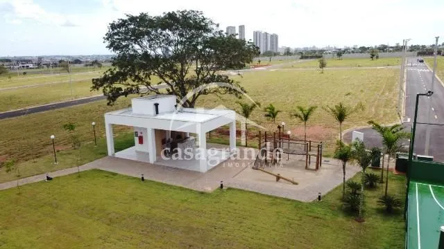 Imagem 13