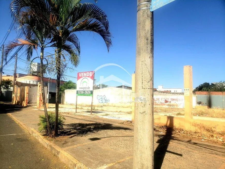 Imagem 9