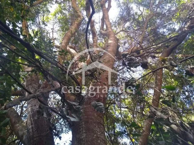 Imagem 2