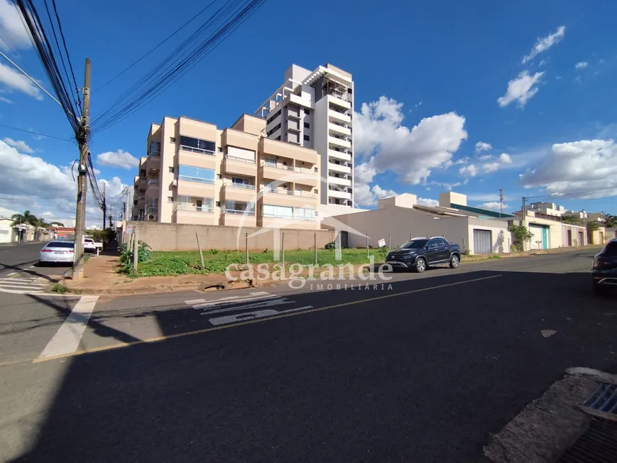 Imagem 10