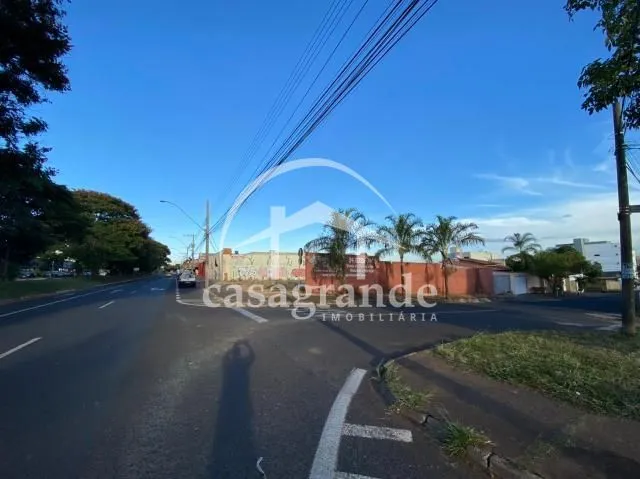 Imagem 2