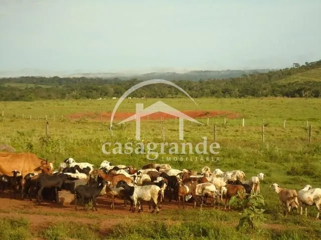 Imagem 29
