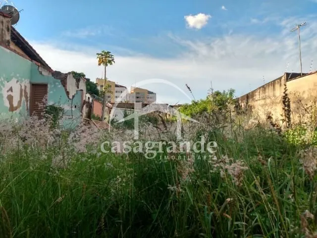 Imagem 2