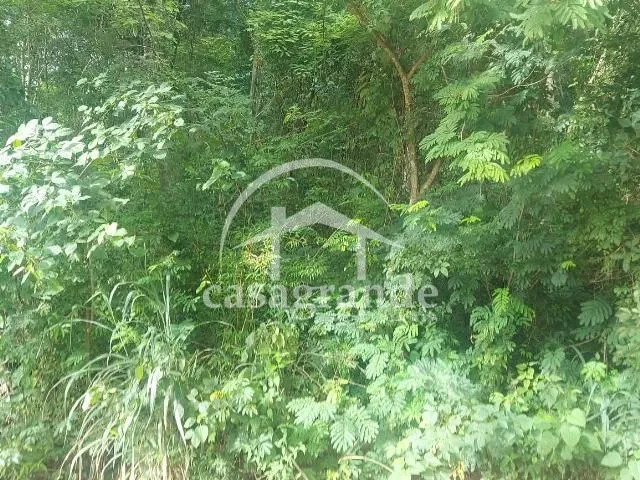 Imagem 6