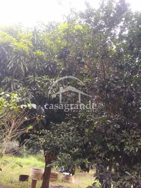 Imagem 2