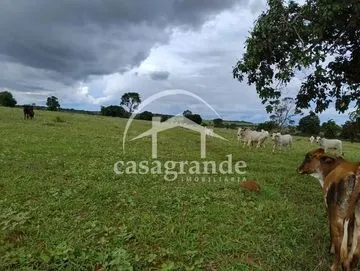 Fazenda para vender no Rural imagem 1
