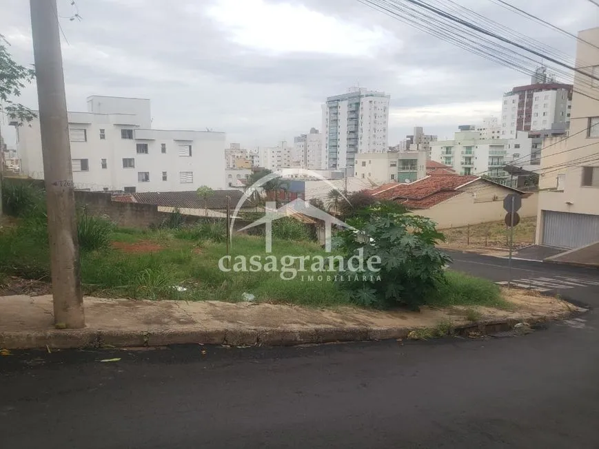 Imagem 6