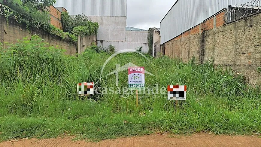 Imagem 3