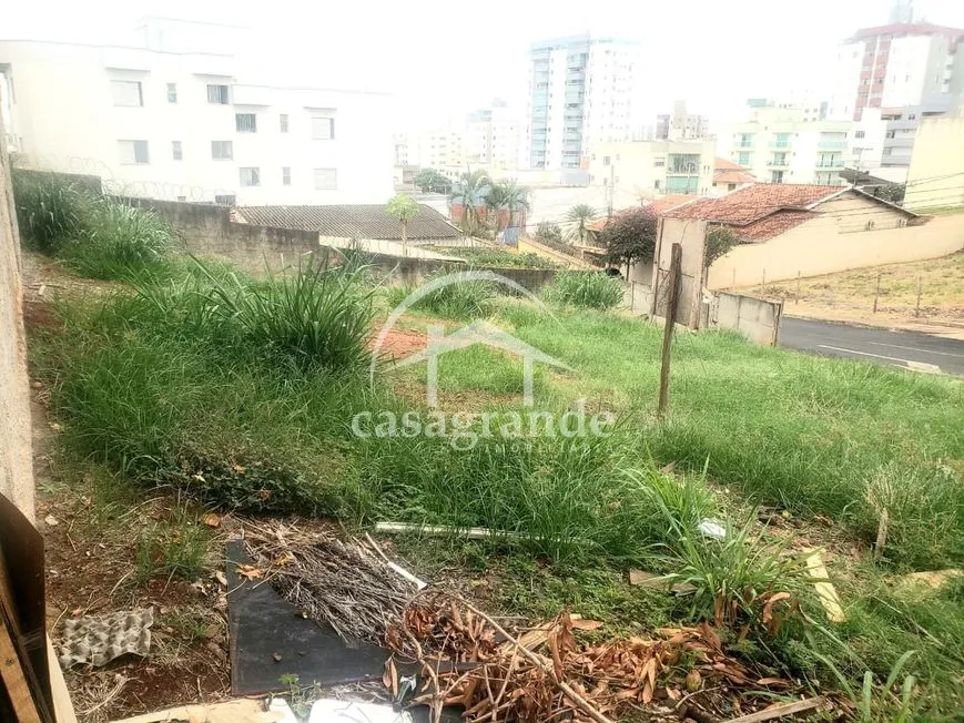 Imagem 3