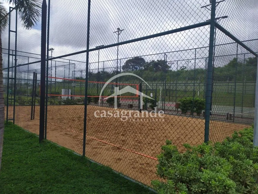 Imagem 7