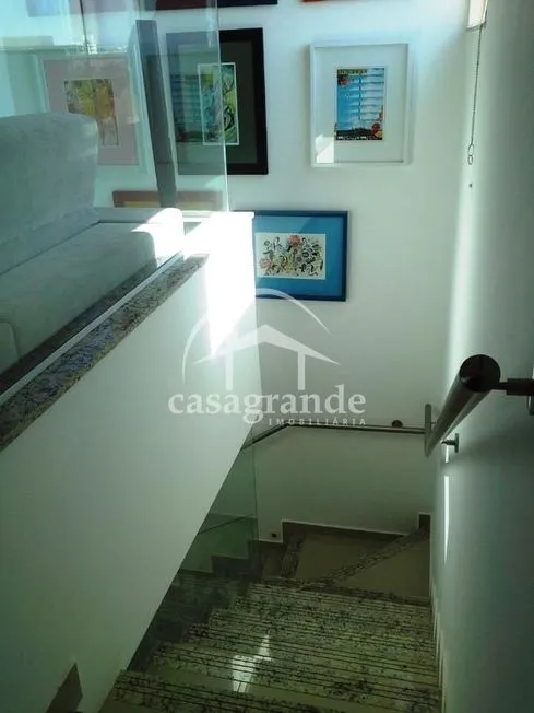 Imagem 12