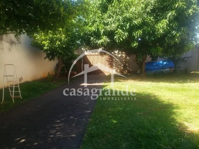 Imagem 9