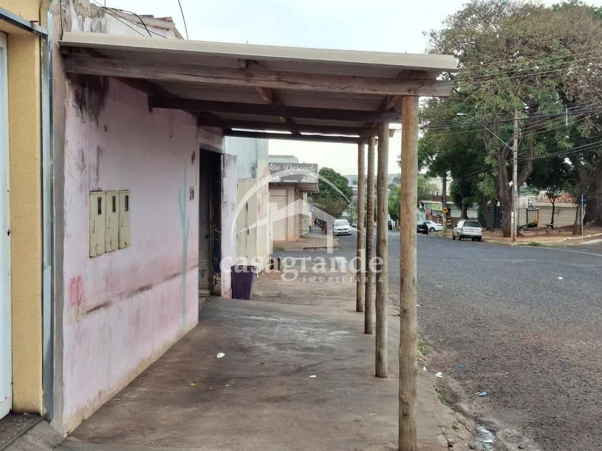 Imagem 7