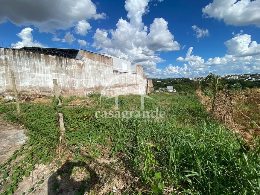 Imagem 4