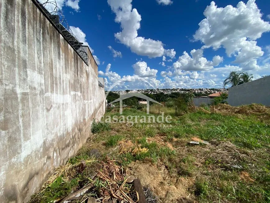 Imagem 3