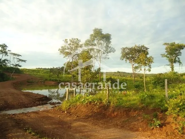 Imagem 24