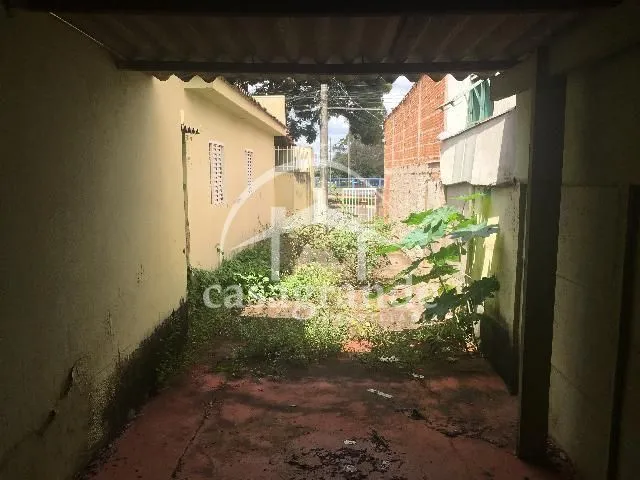 Imagem 3