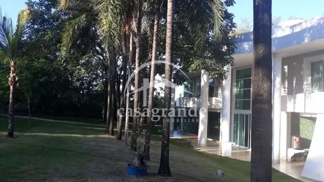 Imagem 7