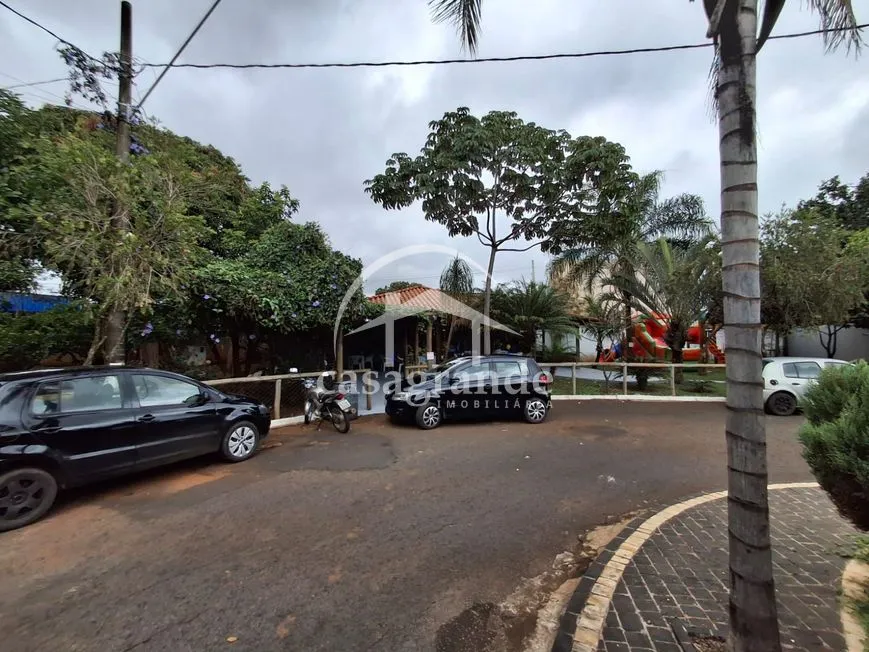 Imagem 13