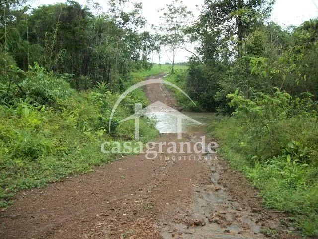 Imagem 10