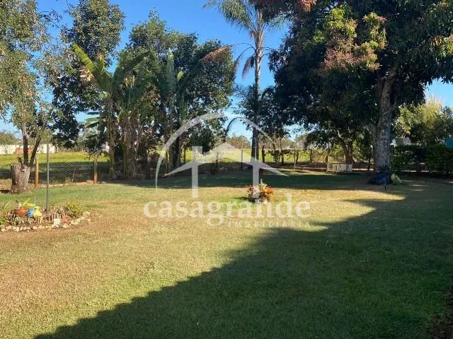 Imagem 4