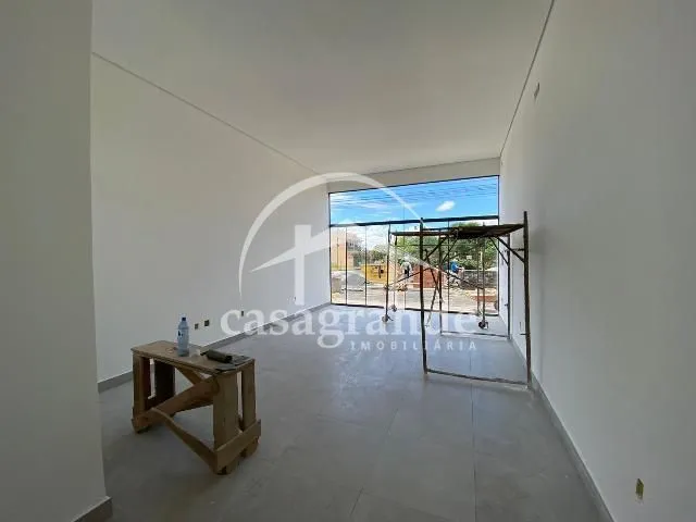 Imagem 8