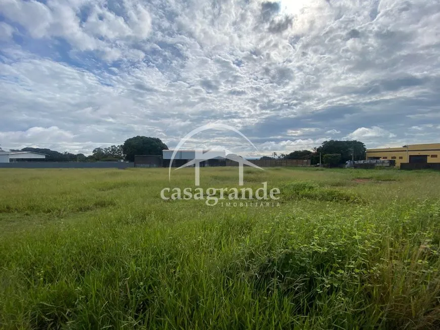 Imagem 3
