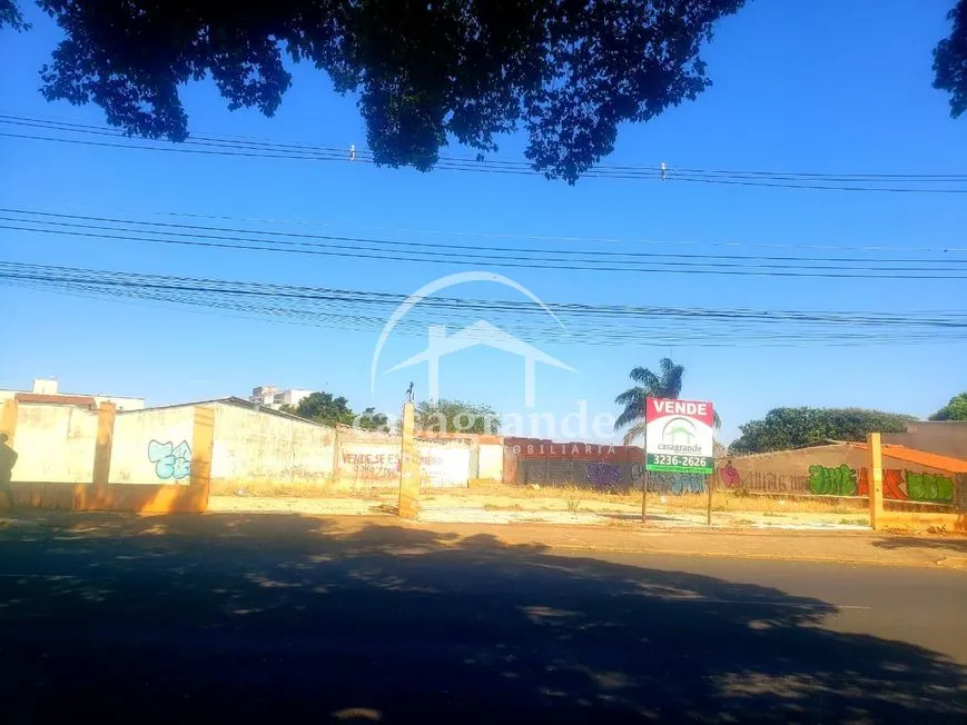 Imagem 5