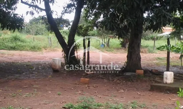 Imagem 4