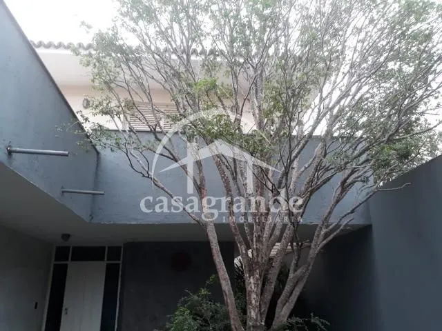 Imagem 14