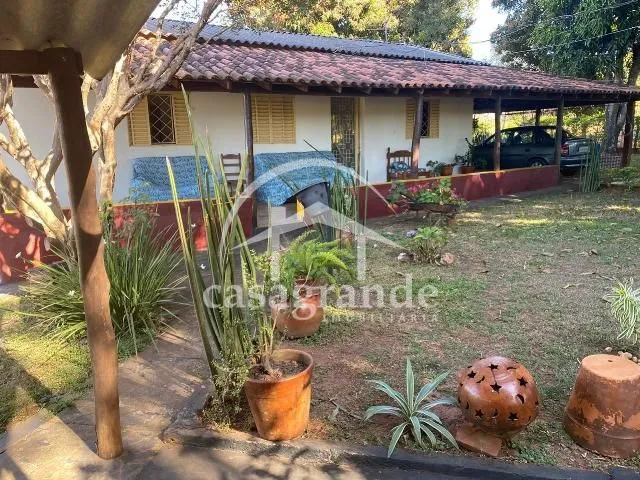 Imagem 11