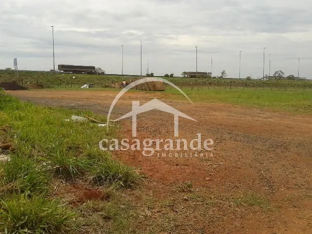 Imagem 5