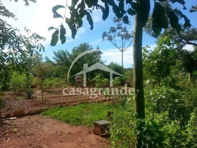 Imagem 10