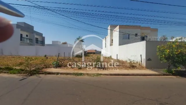 Imagem 6