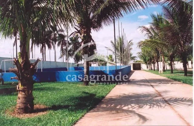 Imagem 9