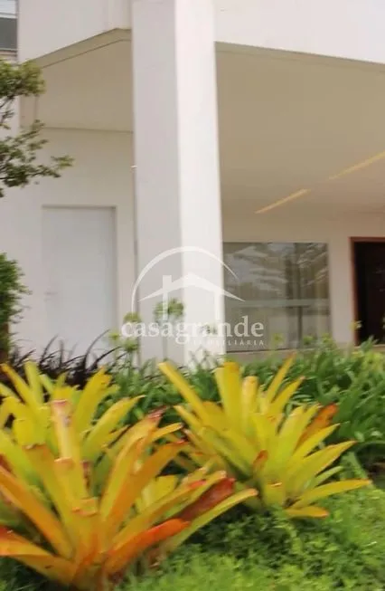 Imagem 9